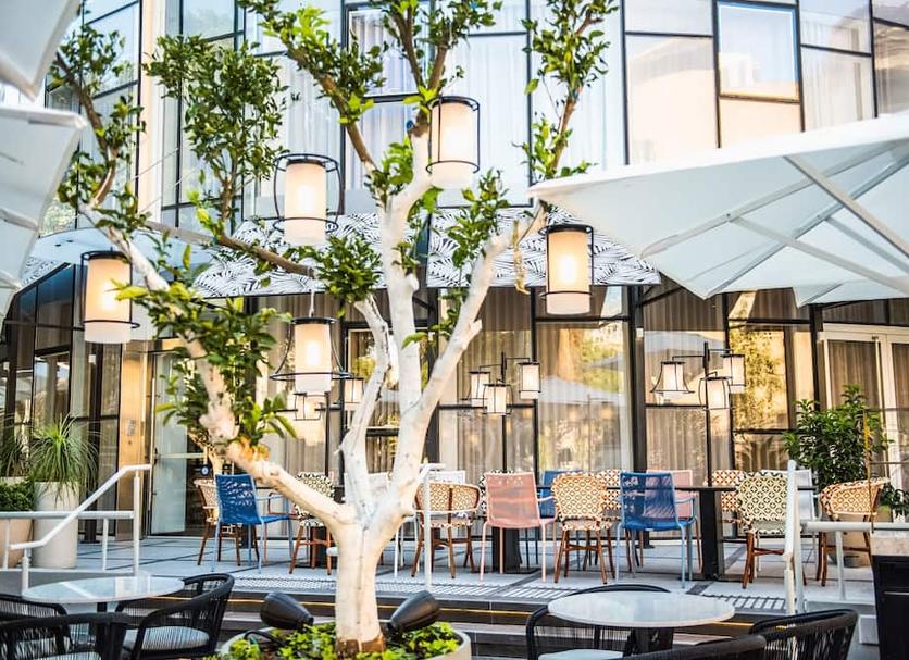 Patio Billede