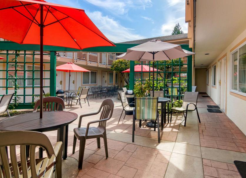Patio Billede