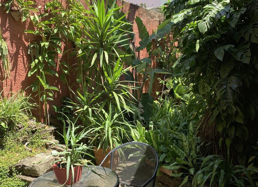 Patio Billede