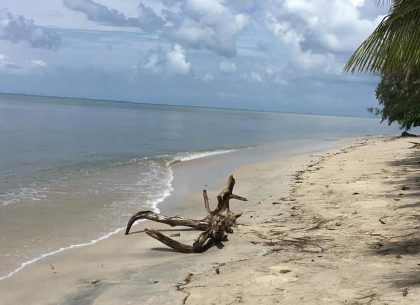 Strand Billede