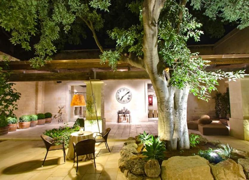 Patio Billede