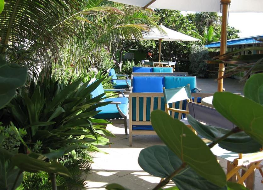 Patio Billede
