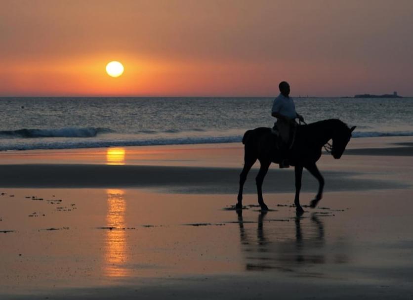 Strand Billede