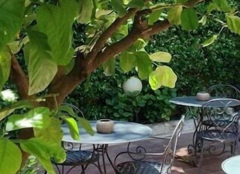 Patio Billede