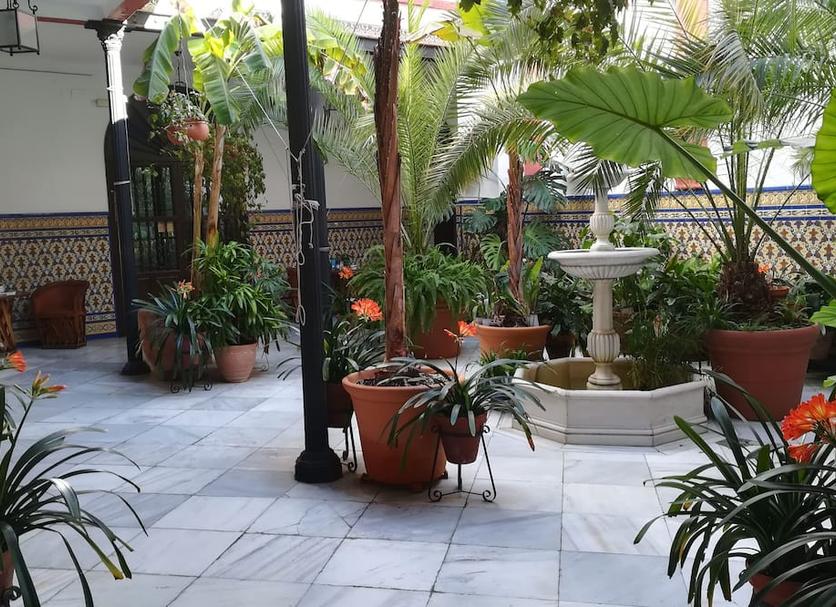 Patio Billede