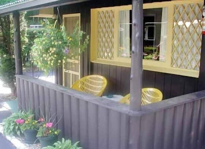 Patio Billede