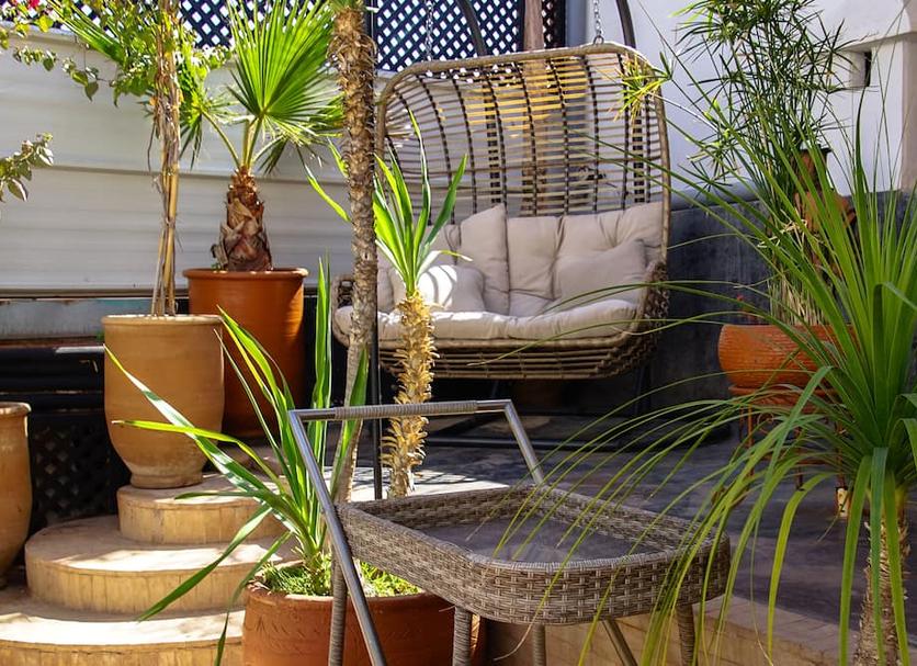 Patio Billede