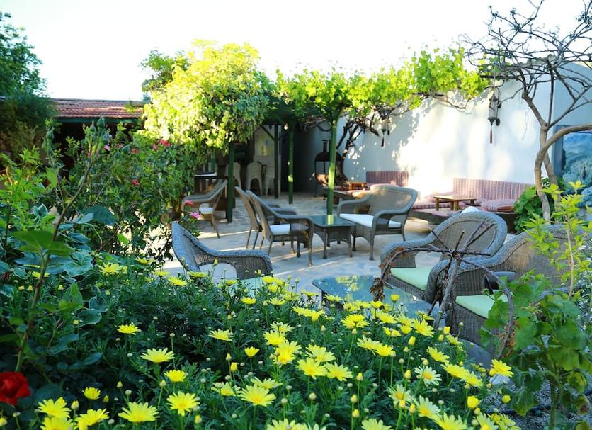Patio Billede