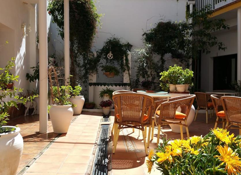 Patio Billede