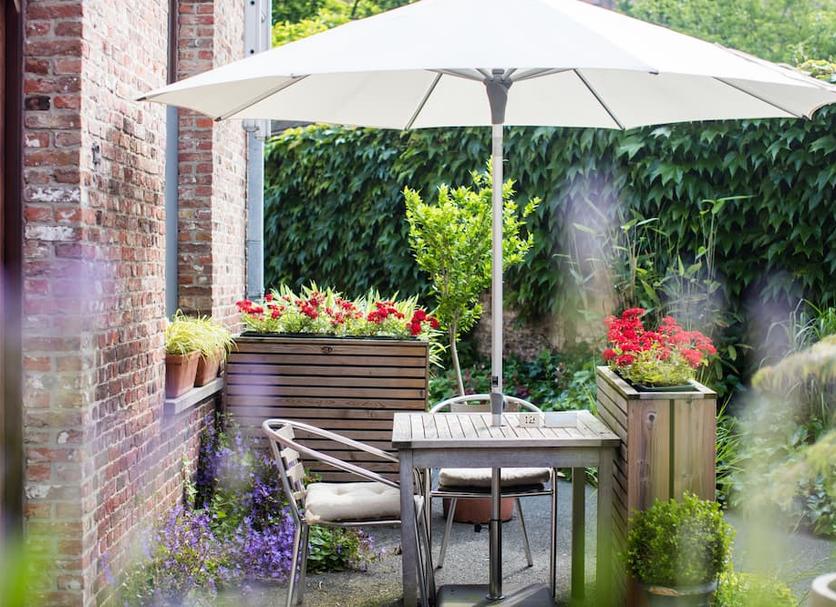 Patio Billede