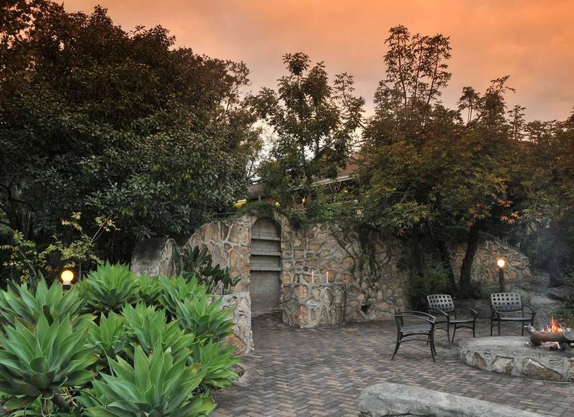 Patio Billede