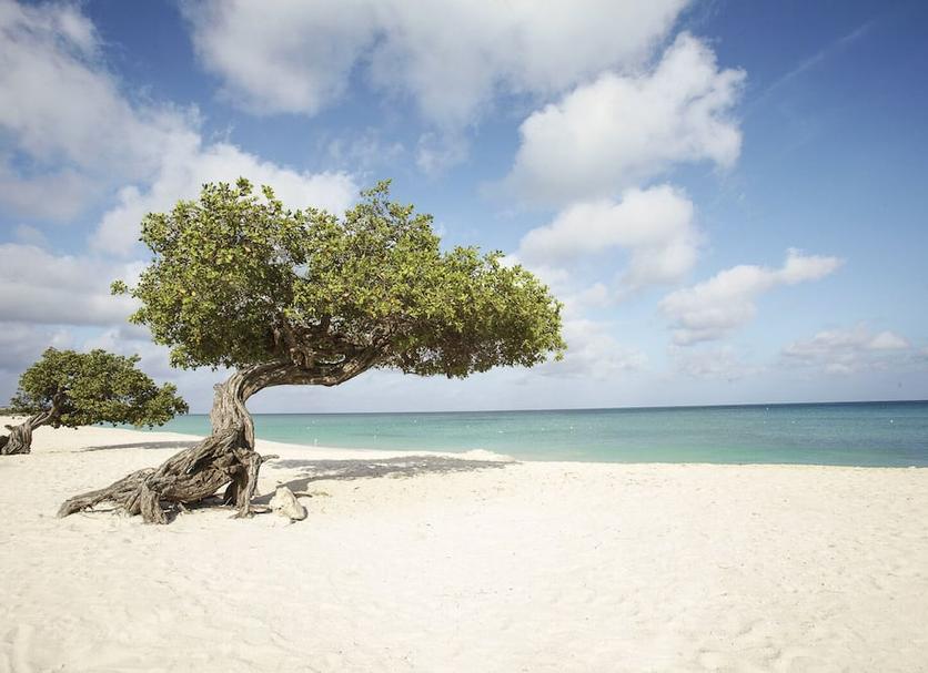 Strand Billede