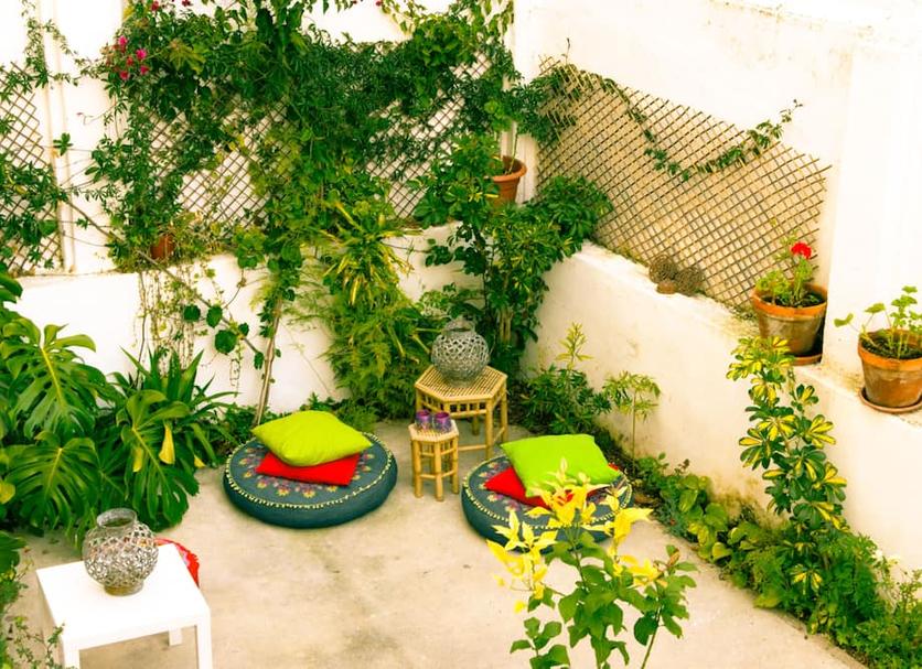 Patio Billede