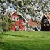 Andet