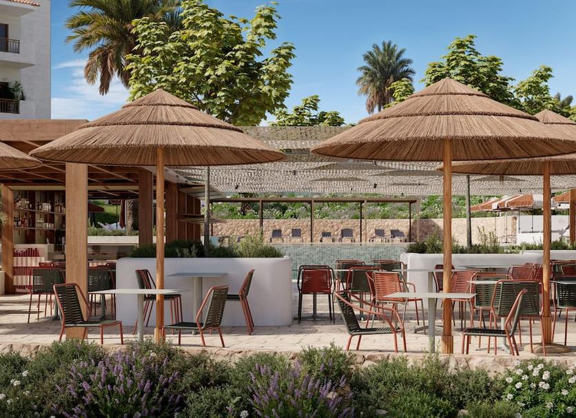 Patio Billede