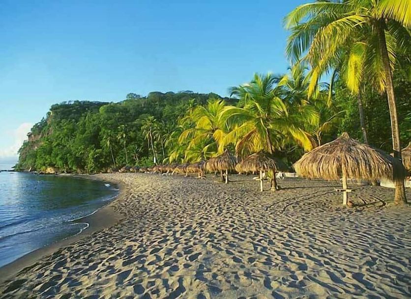 Strand Billede
