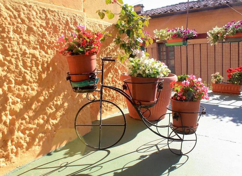 Patio Billede