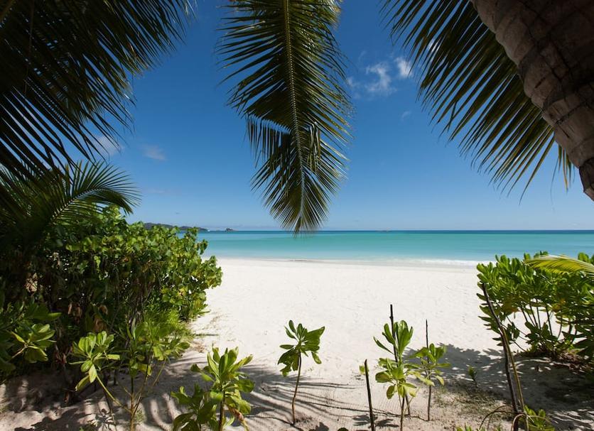 Strand Billede