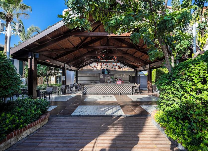 Patio Billede