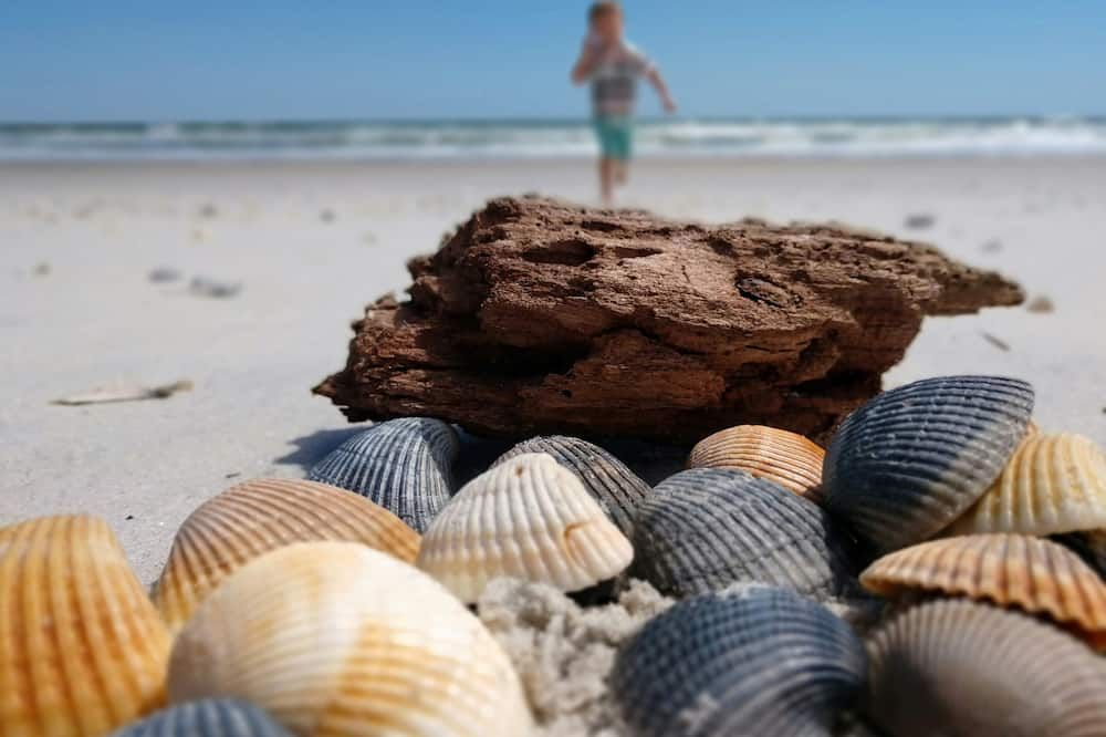 Strand Billede