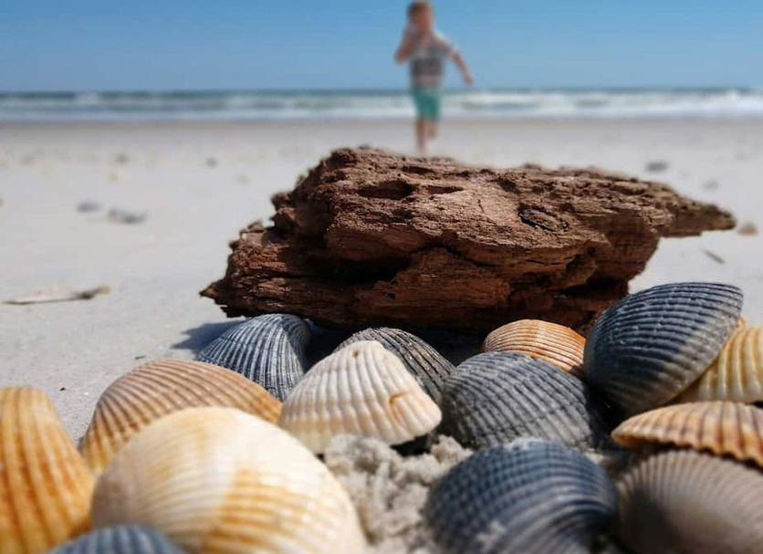 Strand Billede