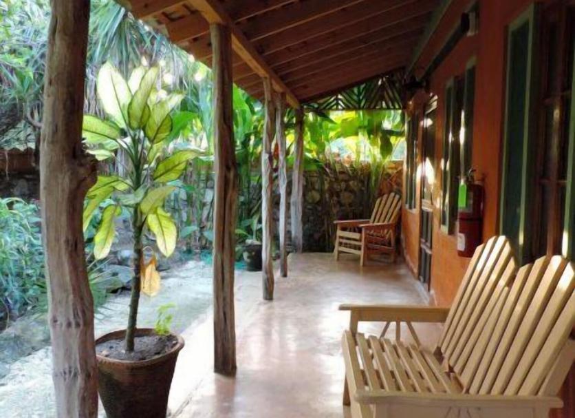 Patio Billede