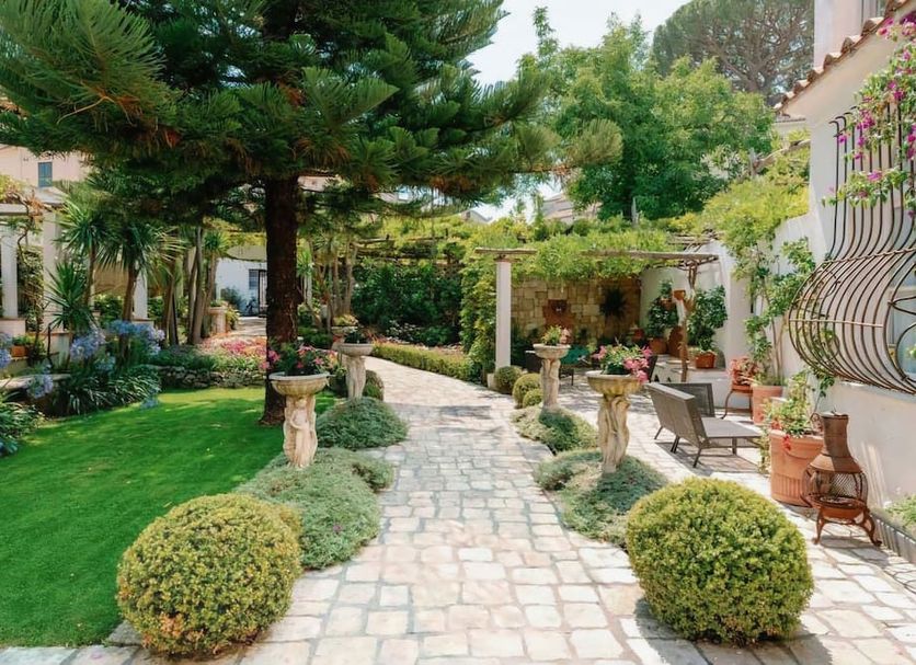 Patio Billede