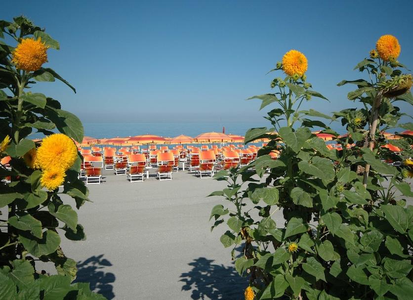Strand Billede