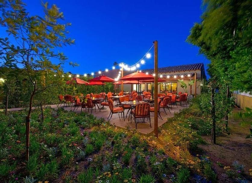 Patio Billede