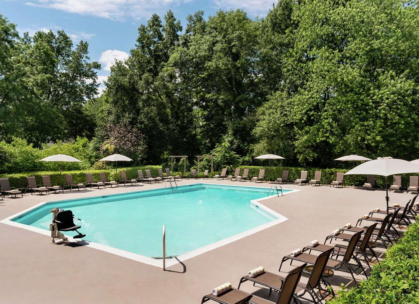 Pool Billede