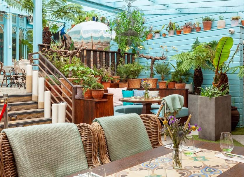 Patio Billede