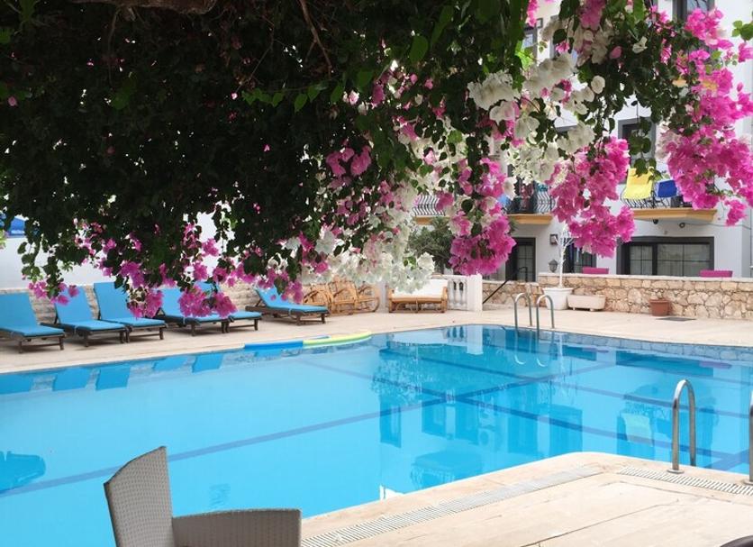 Pool Billede