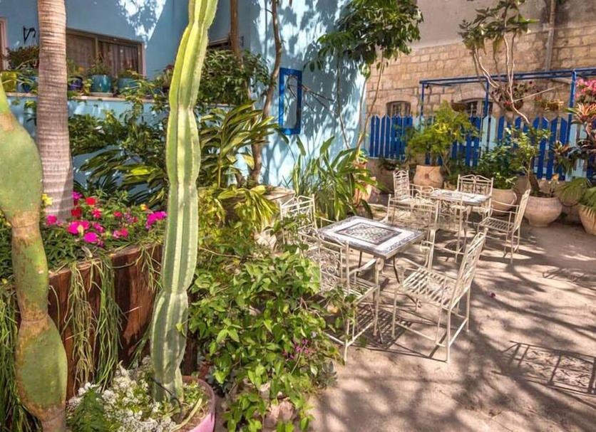 Patio Billede