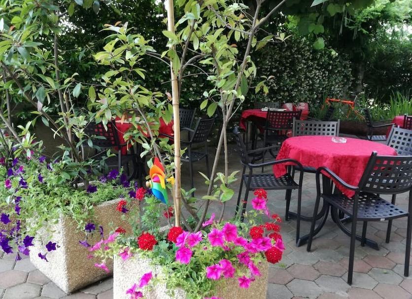 Patio Billede