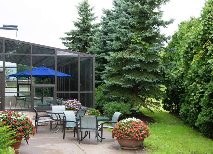 Patio Billede