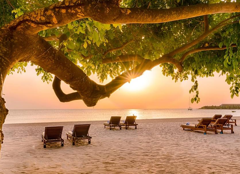 Strand Billede