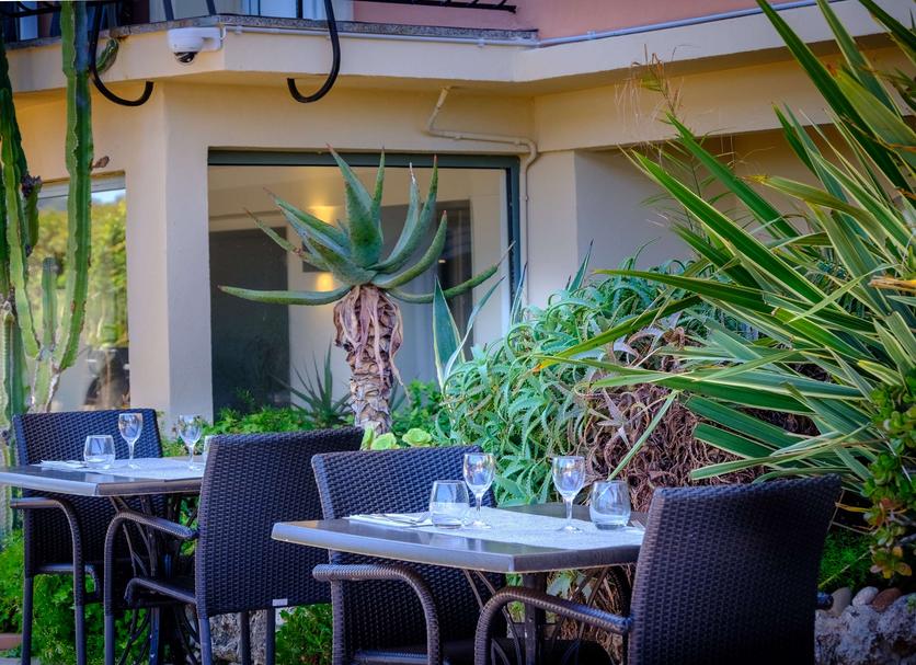 Patio Billede