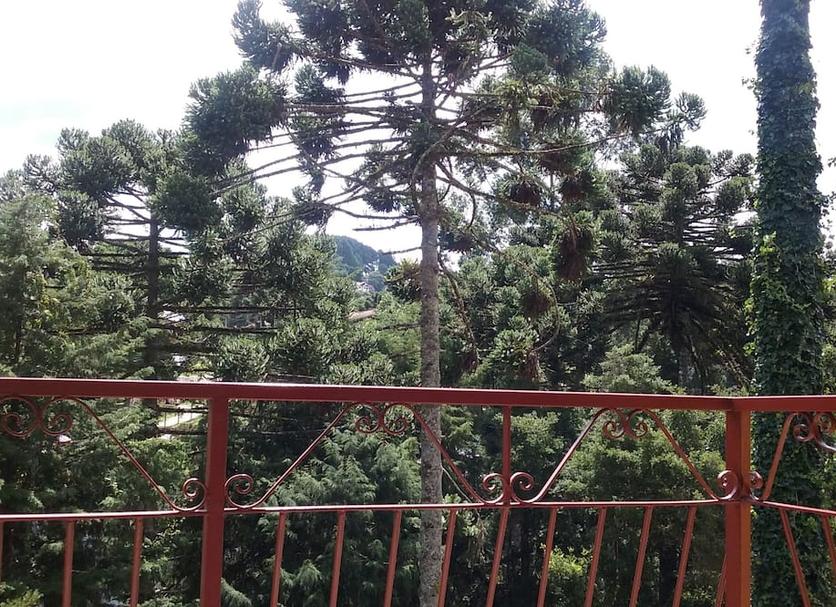Balkon Billede