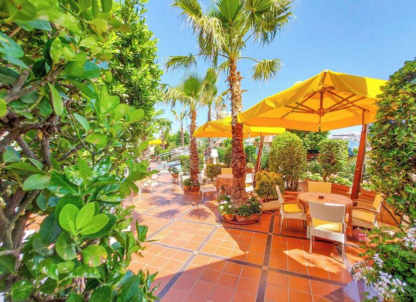 Patio Billede