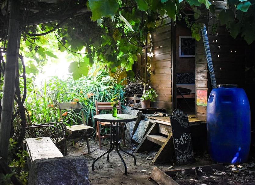 Patio Billede