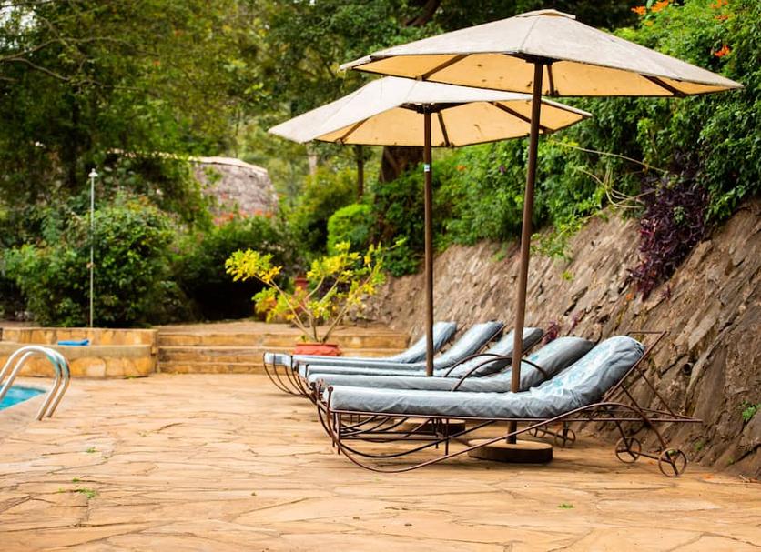Patio Billede