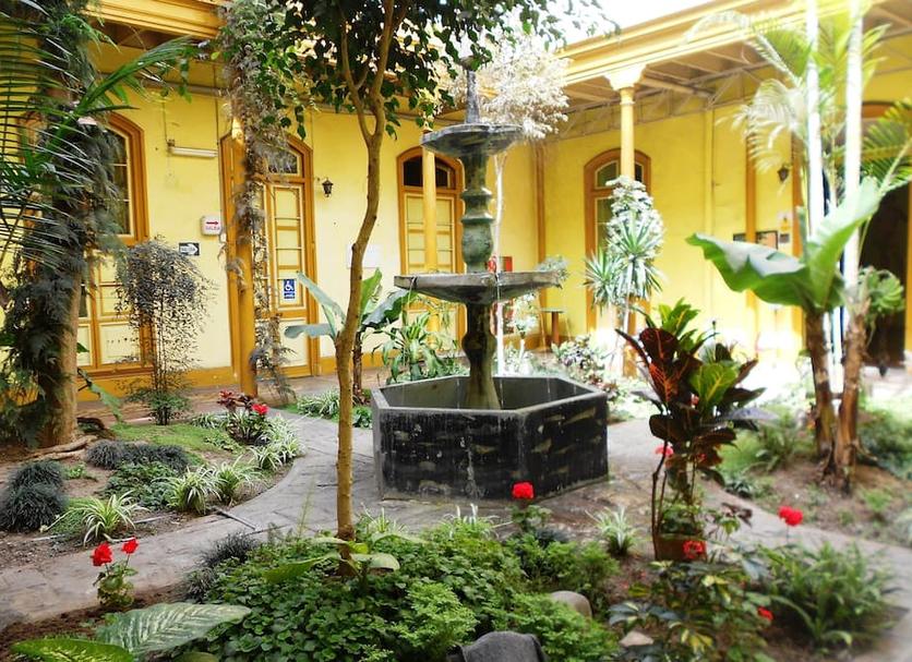 Patio Billede