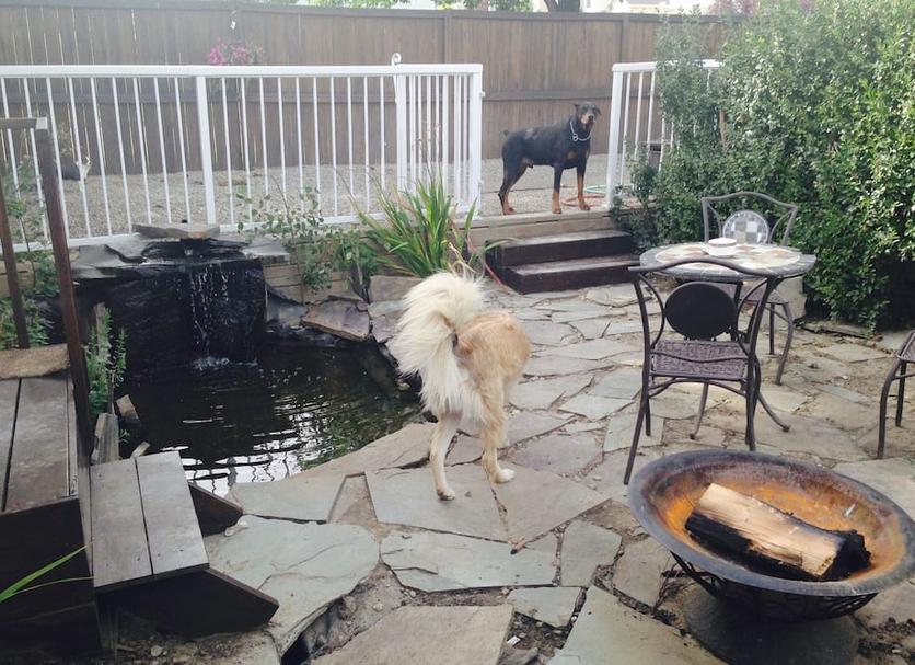 Patio Billede