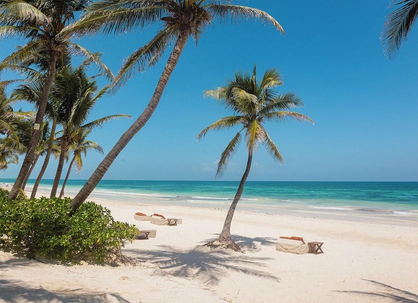 Strand Billede
