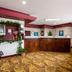Receptionist