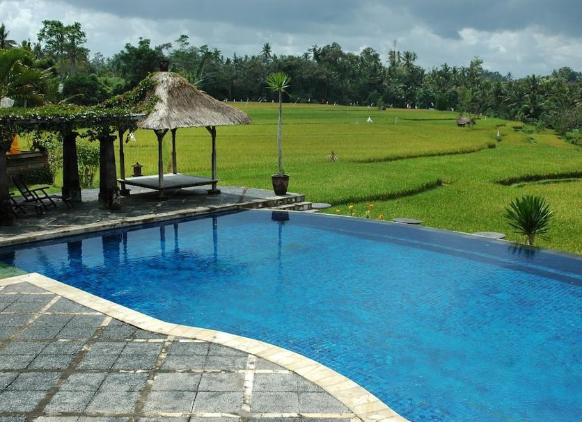 Pool Billede