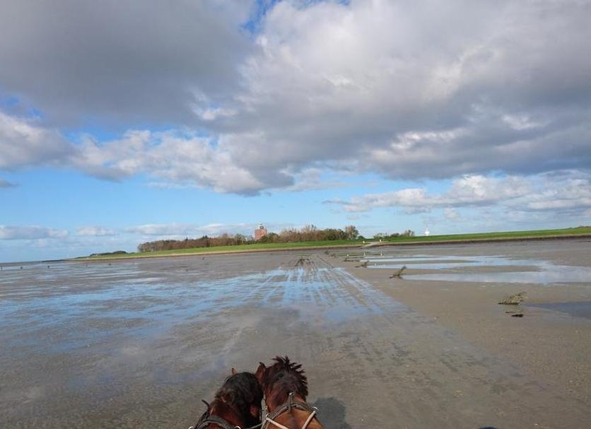 Strand Billede