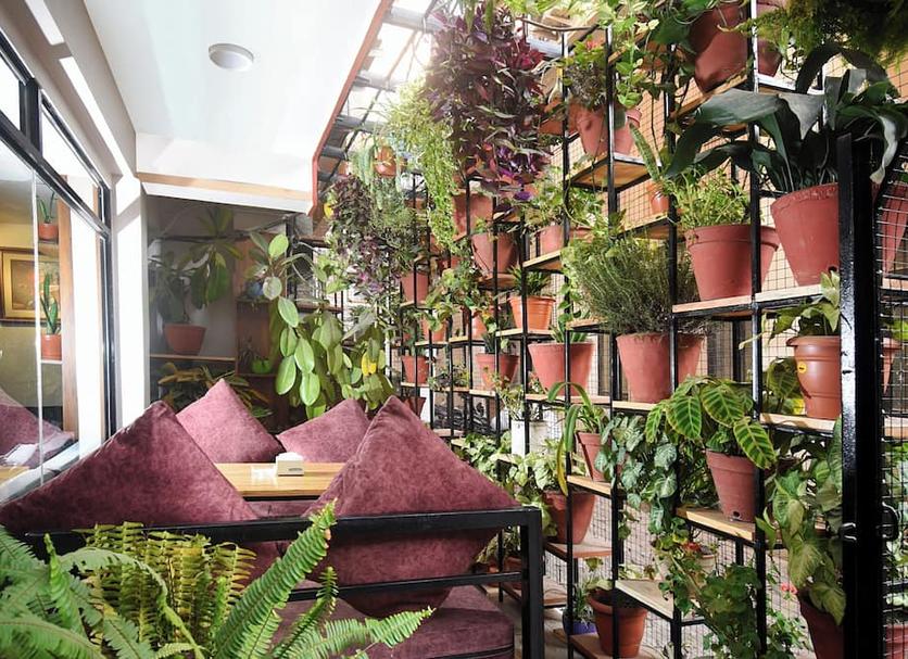 Patio Billede