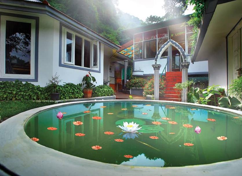 Pool Billede