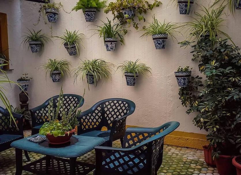 Patio Billede